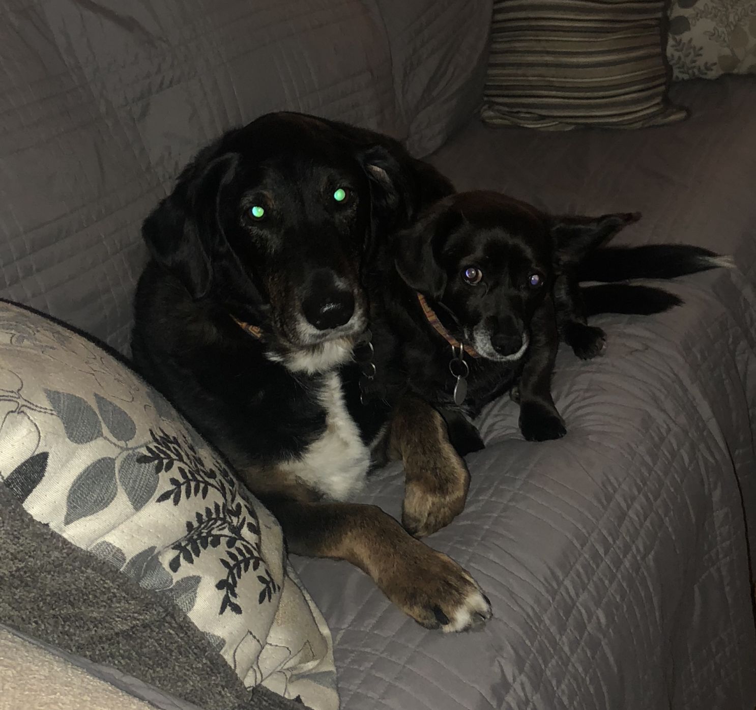 Missy and Skip